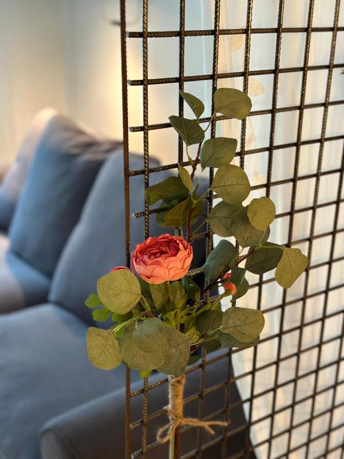 Mia Appartements 因斯布鲁克 外观 照片