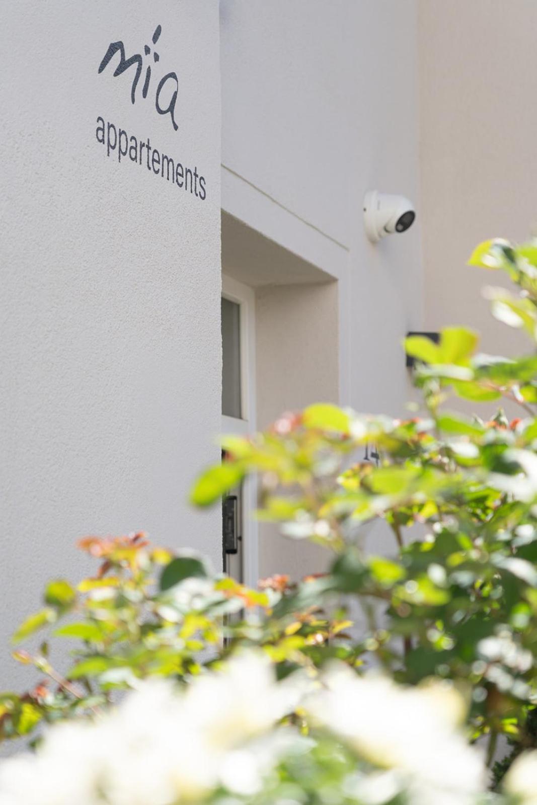 Mia Appartements 因斯布鲁克 外观 照片